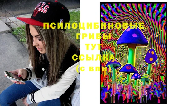 наркотики Карпинск