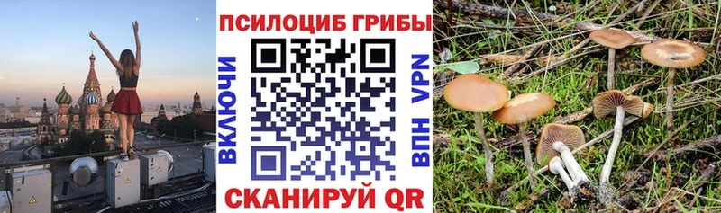 Псилоцибиновые грибы MAGIC MUSHROOMS  Купить  Грозный 